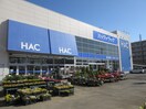 HAC(ドラッグストア)まで800m 第三吉田ハイツ