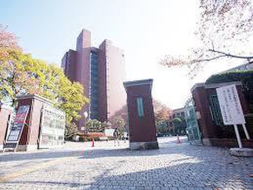 日本大学文理学部(大学/短大/専門学校)まで1000m ＭＹ　ＲＯＯＭ