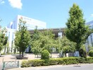 日本体育大学(大学/短大/専門学校)まで131m オカベグリ－ン