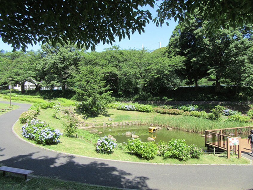 保土ケ谷公園(公園)まで350m ブルーム桜ヶ丘