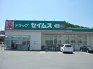 ドラックセイムス入間仏子店(ドラッグストア)まで784m フラワーハイツA