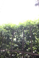 室内からの展望 パ－クキュ－ブ四谷三丁目