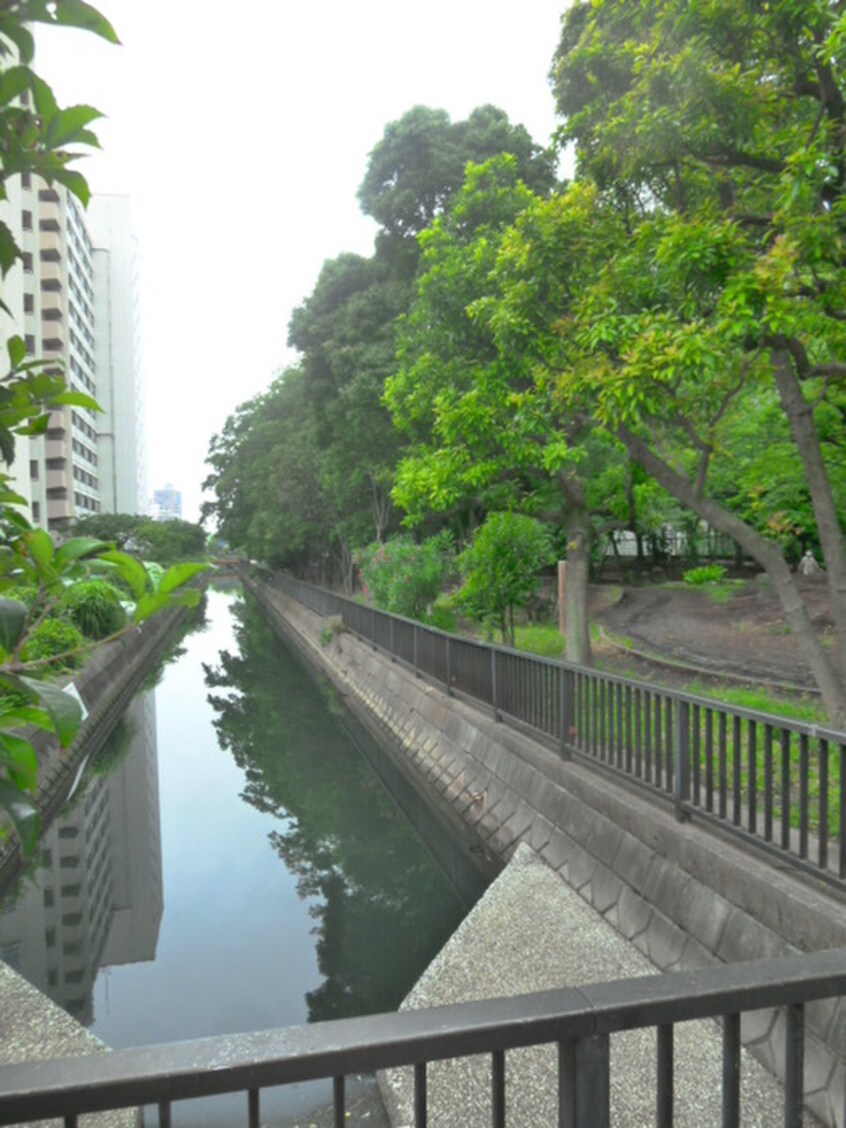 周辺環境 コンフォリア南砂町