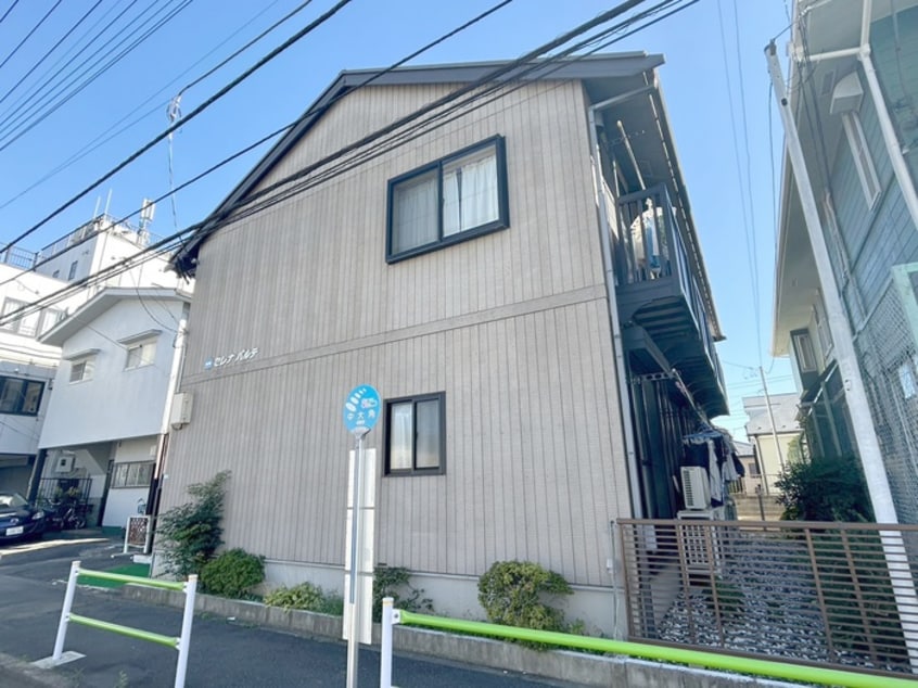 外観写真 セレナパルテ
