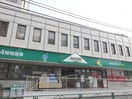 マルエツプチ中野中央店(スーパー)まで342m エイティハウス