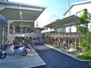 駐輪場 N-stage　Matsudo