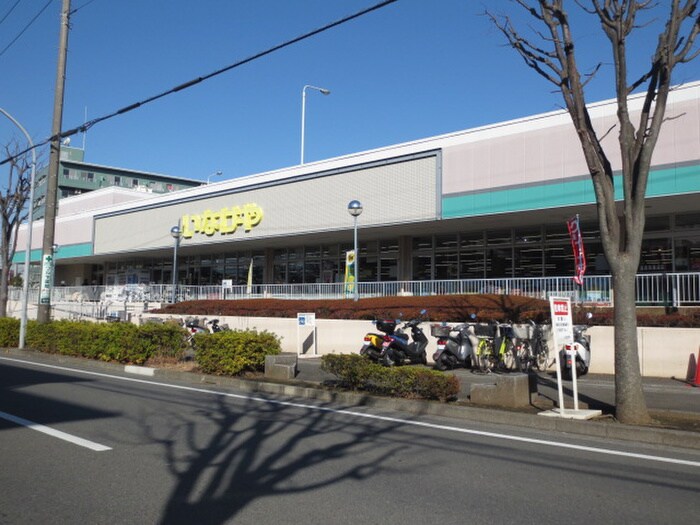 いなげや　横浜西が岡店(スーパー)まで1170m アムールＫ