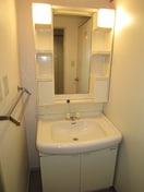 洗面 メゾンドラフィネ宮下