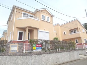 レウィシアＢ
