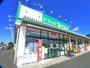 セイムス(ドラッグストア)まで800m Laguna Court-1