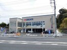 クリエイト栄鍛冶ケ谷店(ドラッグストア)まで250m 布施テラスハウス