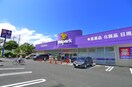 Welpark（ウェルパーク） 南葛西店(ドラッグストア)まで603m クレール９