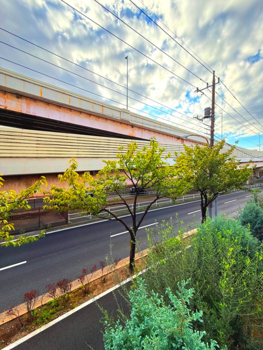 室内からの展望 Ａｌｌｉｅ　ｓ　Ｍｅａｄｏｗ