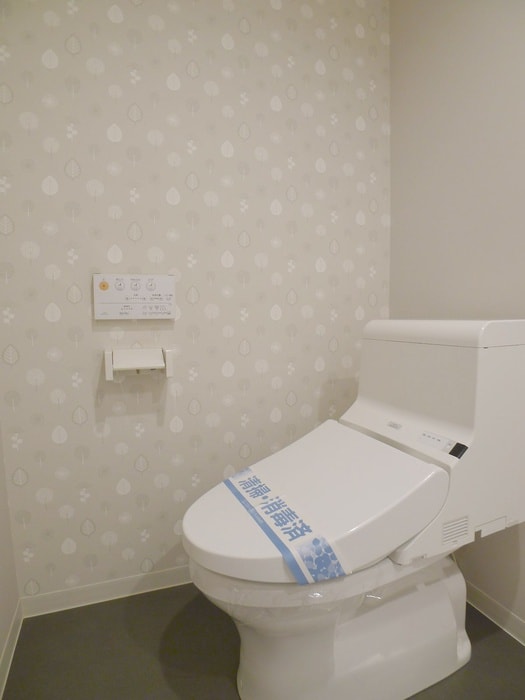 トイレ Designer´s 柏