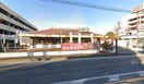 ココス(その他飲食（ファミレスなど）)まで490m リーブルファイン松江