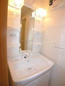 洗面 プラシ－ド アロッジオ