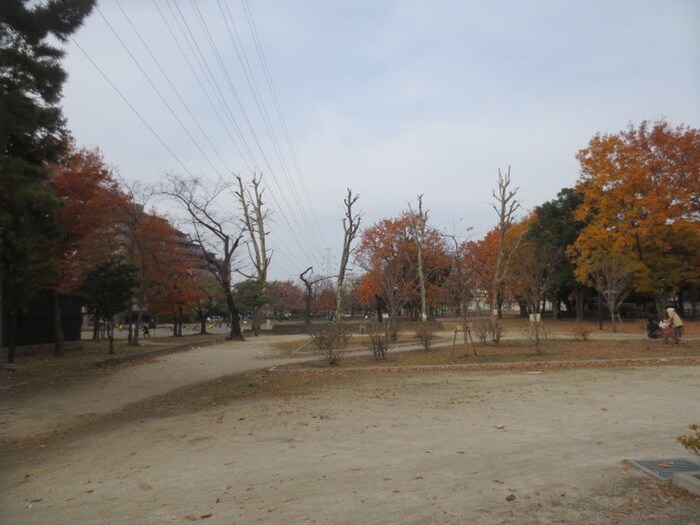 谷在家公園(公園)まで811m 皿沼コ－ポ