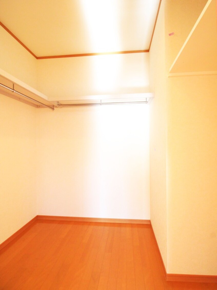 収納 Ａｍｏｕｒ　ｏｌｉｖｉｅｒ