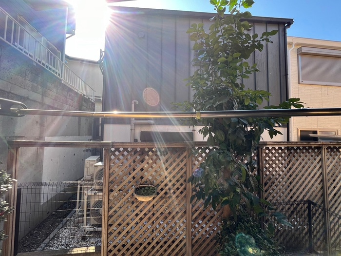 室内からの展望 ロ－ゼンハイム