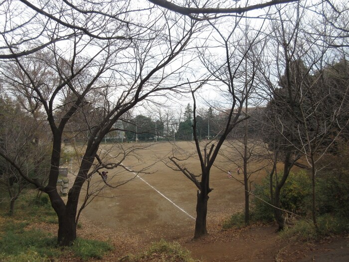 宮崎第一公園(公園)まで400m ファミリアハイツ立川