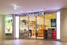 Odakyu OX代々木上原店(スーパー)まで542m Fika代々木上原