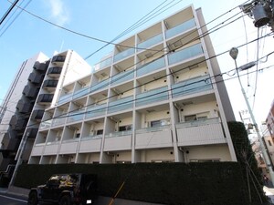 ﾊﾟｰｸﾘｭｸｽ白金monoｸﾞﾚｰｼﾞｭ(205)