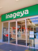 いなげや 狛江東野川店(スーパー)まで1100m アヴェニュ－成城１