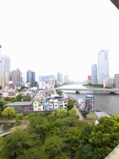 室内からの展望 パークサイド・ウィングス(1011)