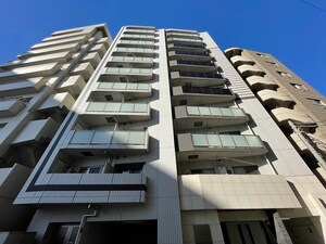 ｱﾙﾃｼﾓﾌﾟﾘﾏ(1104)