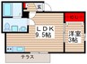 エクシト蘇我 1LDKの間取り