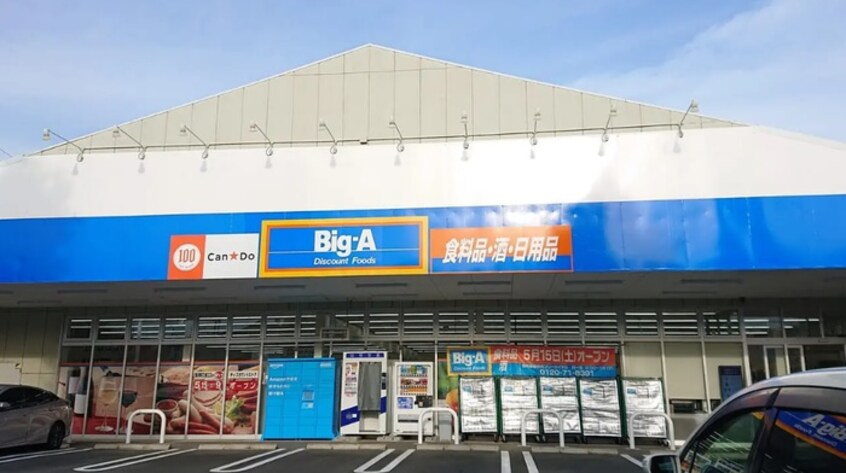 Big-A(スーパー)まで191m ピュアグレイスMiya