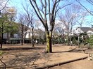 中央緑地公園(公園)まで273m ＡＱＵＡＷＯＯＤＳ学芸大学