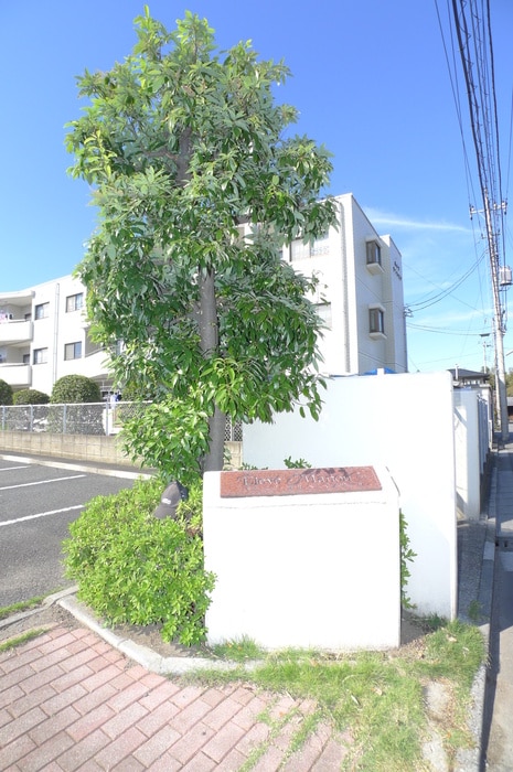 その他 エルベマノワ－ル