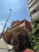 周辺環境 angel beetle