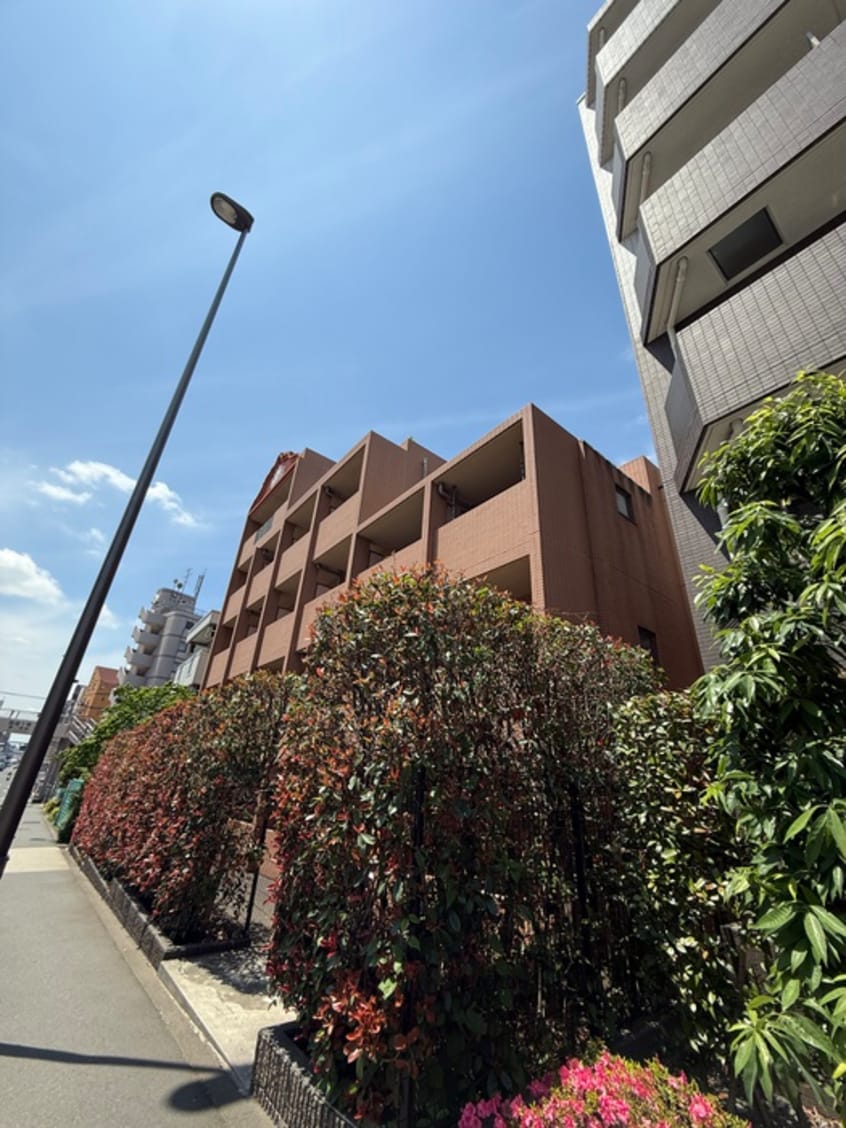 周辺環境 angel beetle