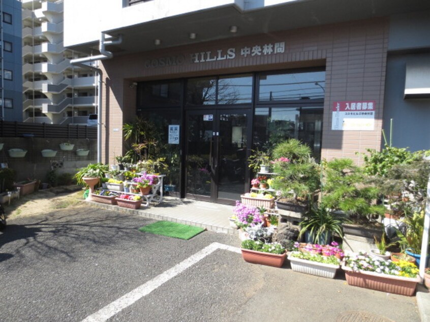 エントランス部分 コスモヒルズ中央林間