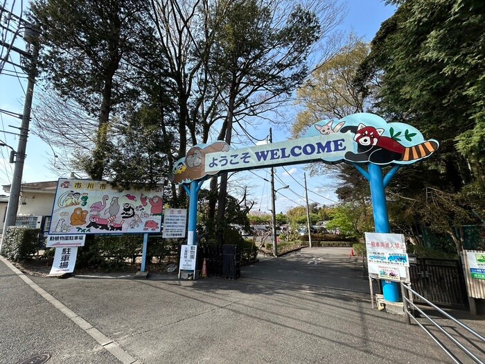 市川市動植物園(美術館/博物館)まで819m 大野町４丁目貸家