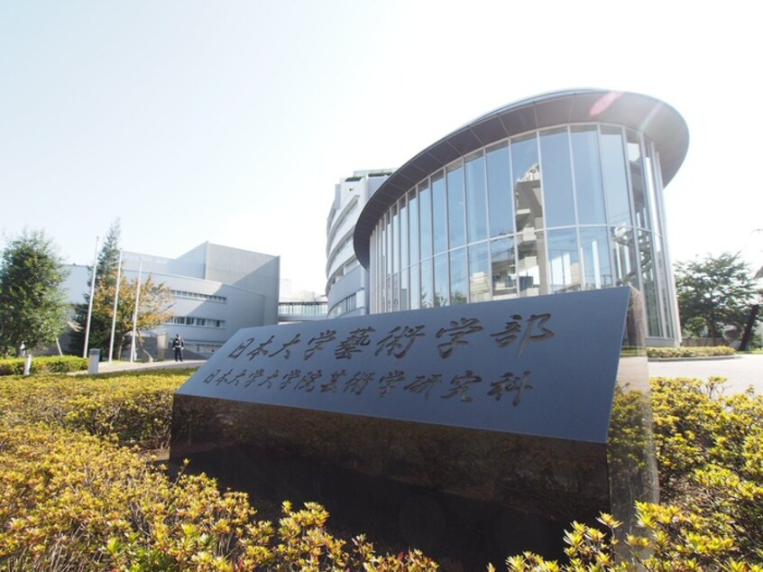 日本大学 芸術学部キャンパス(大学/短大/専門学校)まで810m フェリスサクセス