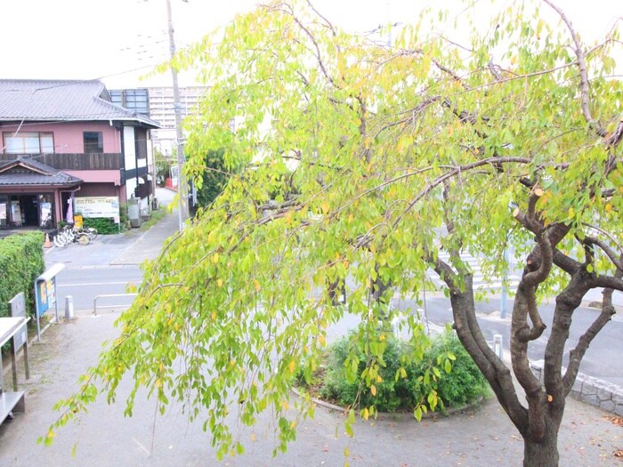 室内からの展望 神明貸家