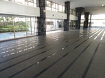 ﾗｲｵﾝｽﾞﾏﾝｼｮﾝ横濱元町ｷｬﾅﾘｼｱ(405)