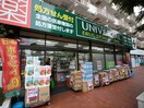 ユニバーサルドラッグストア大井町店(ドラッグストア)まで463m 第一フリヨ