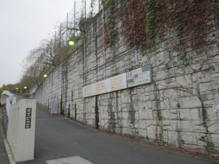 川崎市立柿生中学校(中学校/中等教育学校)まで454m 美山台ハイツ