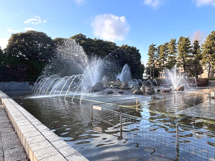 北浦和公園(公園)まで600m コミューンときわ