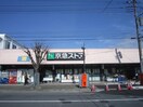 京急ストア北久里浜店(スーパー)まで707m 森崎ﾊﾟｰｸ三栄Ⅲ