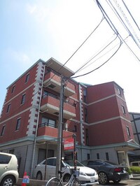 シュタインハウス