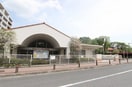 第四保育園(幼稚園/保育園)まで424m シュタインハウス