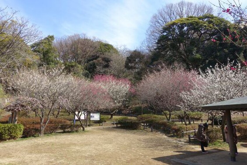 岡村公園(公園)まで500m アムール和