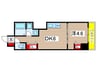 レピュア住吉レジデンス 1DKの間取り