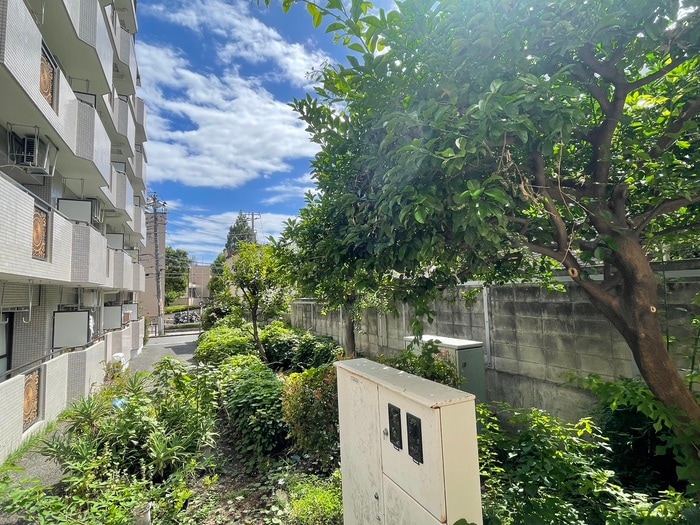 室内からの展望 コ－ポ・エ－ス