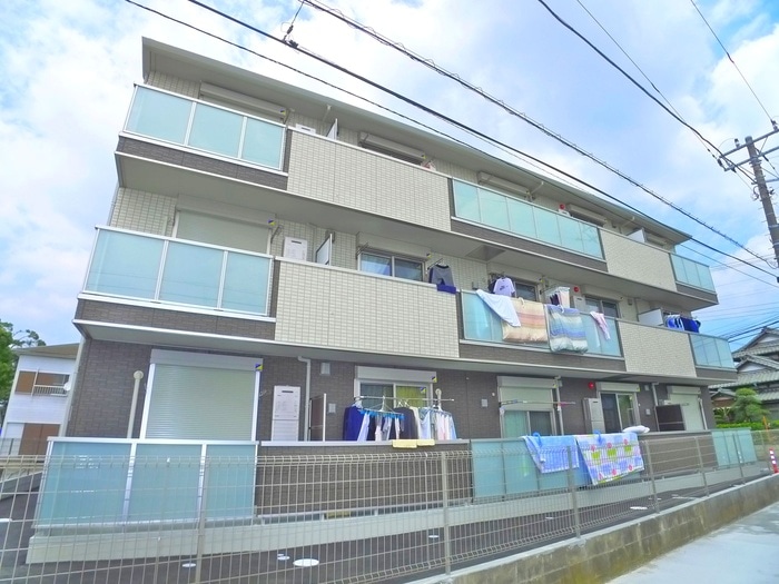 その他 サンフラワー